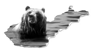 alueellinen kattavuus, koko Suomi, vos-uudistus, kulttuuri, ensimmäinen raportti, sitra