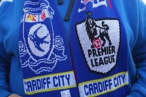 Cardiff hade tidigare en fågel i sitt lagmärke.