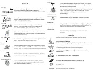 Iriadamantien historia Suomessa ja harhat leiriläisten näkökulmasta vuodelta 1993. Tekstit on suomennettu ranskankielestä. Iriadamantien historia Suomessa