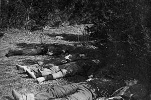 I Arbetararkivet finns några fotografier från arkebuseringarna i Västankvarn, bl.a. detta som föreställer ett antal avrättade män i skogen. Arkebuserade röda fångar i Västankvarn i Ingå i maj 1918.