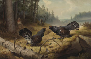 Stridande tjädertuppar (1886) av Ferdinand von Wright En bild av Ferdinand von Wrights tavla Stridande tjädertuppar (1886). Två tjädertuppar i en skogsglänta som står mitt emot varandra.
