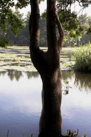 Fosters Pond, 2017. Puu, vettä, ihmishahmoa puun takana.