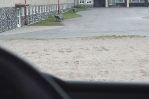 Utsikt ur förarhytt i lastbil. Grusplan utanför.