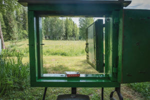 Näkymä vihreän luukun läpi niitylle Matti Järvenpään Rautapuistossa Hämeenkyrössä.