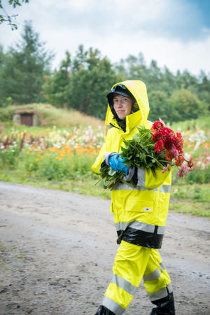 Kukkakuhhaus-kyläjuhlan työntekijä kantaa sylissään kukkakimppua, pukeutuneena keltaiseen sadeasuun.
