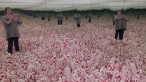 Också artikelförfattaren tog en selfie inne i Kusamas spegelsal på Helsingfors konstmuseum hösten 2016. Konst av Yayoi Kusama på HAM i Helsingfors år 2016.
