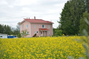 Det nybyggda huset framför ett gult rypsfält.