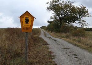 Nationalparken Hainich finns på Unescos lista över världsnaturarv. En skylt med texten hainich och en uggla på i förgrunden, och en ringlande sandväg ut i landskapet.