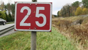 Riksväg 25 löper från Hangö, via Raseborg, Lojo, Vichtis, Nurmijärvi och Hyvinge till Mäntsälä. Valtatien numero 25 punavalkoinen kyltti tien varressa Tammisaaressa.