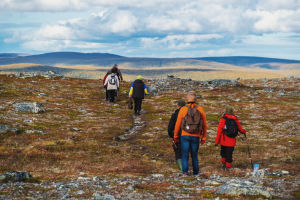 Ryhmä ihmisiä vaeltaa peräkkäin ruskan värittämässä tunturimaisemassa.