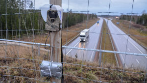 Vilkameran fotograferar allt som rör på sig. Däremot raderas bilder på människor från Väyläs databas. Viltkamera på djurbro.