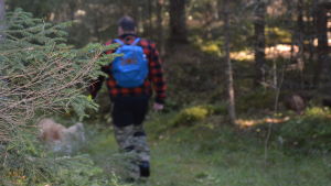 Tommy Holmblad går dagliga promenader med hunden Bamse. I skogen bär han numera med sig försvarsspray och yxa. Tommy Holmblad på skogspromenad med hunden Bamse.