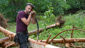 Hannes Hyvönen använder sig av traditionella redskap. Hannes Hyvönen, timmerman och miljökonstnär