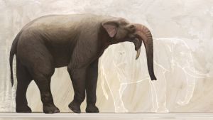 En rekonstruktion av elefantdjuret Deinotherium. Den jämförs här med en afrikansk elefant. Deinotherium