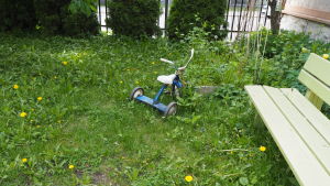 Även barncyklar kan behöva lås i städerna. blå trehjuling på rufsig gräsmatta med maskrosor och bänk