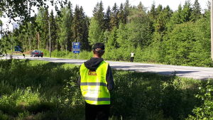 Vargjakt nära Svanens campingområde i Jakobstad. SRVA intill Larsmovägen i Jakobstad.