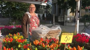 Det enda negativa med det tillfälliga salutorget är att bilen inte ryms att stå intill försäljningsståndet, enligt Anne Pekkinen. Anne Pekkinen står bland blommorna i sitt försäljningsstånd.