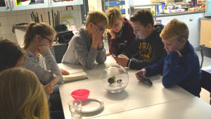 På föris finns inget färdigt planerat program. Skolelever på "föris" i Borgby skola i Sibbo