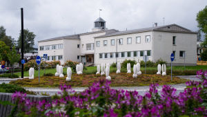 Kaniner finns inte bara i rondellen vid Stora Byvägen utan på olika håll i byn. Arkivbild. En blomrabatt vid rondellen med citykaniner i Nickby.