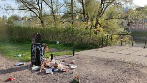 Måsar och kråkor kommer lätt åt skräpet i sopkärlet och sprider ut det i omgivningen. Överfullt sopkärl på västra åstranden i Borgå 25.05.20