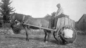 En man klamrar sig fast i ett kärrhjul som hör till en hästdragen kärra. Bilden är tagen 1930 i Sund, Tranvik, Åland.