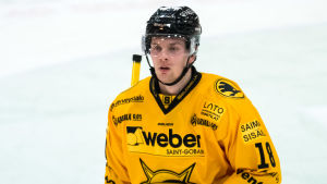Urho Vaakanainen (18:e valet) var en av sex finländare som reserverades i den första omgången 2017. Miro Heiskanen (3) och Juuso Välimäki (16) gick före – Kristian Vesalainen (24), Henri Jokiharju (29) och Eeli Tolvanen (30) efter. Urho Vaakanainen (18:e valet) var en av sex finländare som reserverades i den första omgången 2017. Miro Heiskanen (3) och Juuso Välimäki (16) gick före – Kristian Vesalainen (24), Henri Jokiharju (29) och Eeli Tolvanen (30) efter.