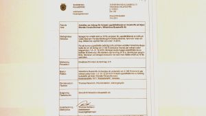 Stadskamreren Thomas Karlsson beslutar bevilja stöd för slutet av 2015. Ett pappersdokument, ett tjänstemannabeslut om stöd för ett bussbolag av staden Raseborg.
