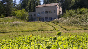 Vattenverket renoveras till café och undervisningslokal. En stenbyggnad med graffiti på står på en grönskande äng.