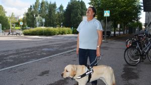 Kenneth Ekholm använder ofta färdtjänst tillsammans med sin ledarhund. Arkivbild. Kenneth ekholm