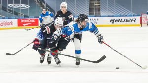 Brad Lambert fick testa på spel i förstakedjan mot USA. Brad Lamber skyddar pucken framför en motståndare.