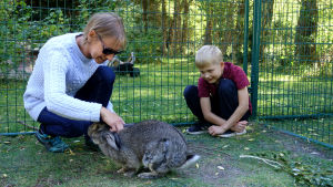 Hilkka och Franz Uusimäki tillbringar mycket tid utomhus - bland annat med kaninen Bailey. En kvinna med blå tröja och solglasögon och en ung pojke med vinröd t-skjorta sitter på huk i en inhängnad och kvinnan klappar en gråvit stor kanin på huvudet. Det är sommar och grönt i bakgrunden.