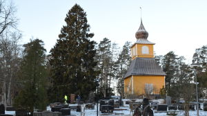 Granen är cirka 100 år gammal och ungefär 20 meter hög. Dragsfjärds gula klocktorn som står bredvig den cirka 20 meter höga granen.
