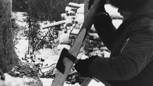 Tapio Wirkkala käyttää kirvestään