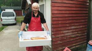 Gösta Helenius förbereder midsommarförsäljningen på torget. Fiskaren Gösta Helenius med rök lax i en låda.