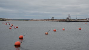 Den här tiden på året är det lugnt i Östra hamnen. Höstbild från Östra hamnen i Hangö.