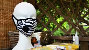 Munskyddet i zebramönster är en referens till läkarvärlden - man kan tro att sjudomen är vanlig som en häst, men den kan vara ovanlig som en zebra. Vitt dockhuvud med zebramönstrat munskydd framför mundelen.