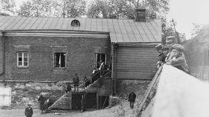Nyfikna pojkar tittar på fångarna bakom nuvarande Café Chapman nära bron mellan Vargön och Stora Öster Svartö. Unga pojkar tittar på fångar på Sveaborg 1918 på Vargön på Adlerfeldts gård.