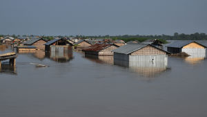Stora delar av den nordindiska delstaten Assam ligger under vatten Stora delar av den nordindiska delstaten Assam ligger under vatten