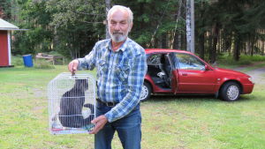 Tom Grabber med katten Nemo, som demonstrativt vänder blicken bort från fotografen. En äldre man med grått hår och skägg håller upp en bur där det finns en katt. Bakom en röd bil. Sommar och gröna träd och gräsmatta.