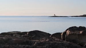 Utsikt över södra Bottenhavet, Nystads skärgård, april 2020. Sjöfåglar, sannolikt ejdrar, simmar förbi.