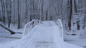 Ramsholmenområdet är ett populärt promenadstråk både på vintern och sommaren. ramsholmen på vintern