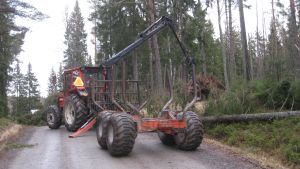 Träd som stormen fällt över vägar sätter stopp för trafiken. Arkivbild. Träd som fallit i stormen Dagmar tas bort i Manngård.