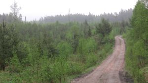 I närheten av den gamla avstjälpningsplatsen finns områden som kunde utnyttjas för rekreation.