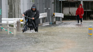 Det är svårt för cyklister och fotgängare att ta sig fram. På vissa håll har vattennivån stigit så högt att hela bilar har täckts. Människor i Japan rör sig på översvämmad gata.