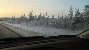 Cirka 0,2 procent av vägarna i Finland har viltstängsel. Älgstängsel längs riksåttan.