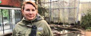 Sanna Sainmaa i Borealia-huset på Högholmen.