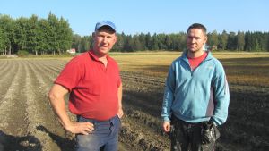 Roger Lindroos och Calle Grönlund är båda överens om att hjortbeståndet är för stort. Odlaren Roger Lindroos och jaktledare Calle Grönlund på en potatisåker i Vättlax.