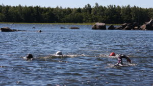 14 grader i vattnet funkar om man har våtdräkt på sig Öppet vatten simning i Maxmo för Mitt triathlon gänget