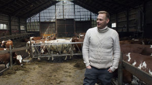 Robin Nyman köper mjölk från en lokal bonde. Glassföretagaren Robin Nyman i ladugård