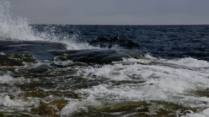 Klovharu sijaitsee Pellingin ulkosaaristossa. Kun tuuli nousee, kallioilla tyrskyää. Meren aallot iskevät vaahtoavina rantakallioihin.